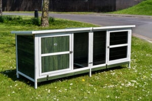 THUMPER XL Green Rabbit Hutch – Welfare Standard Approved
