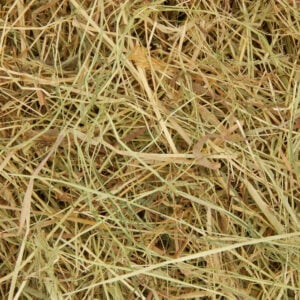 2KG Meadow Hay
