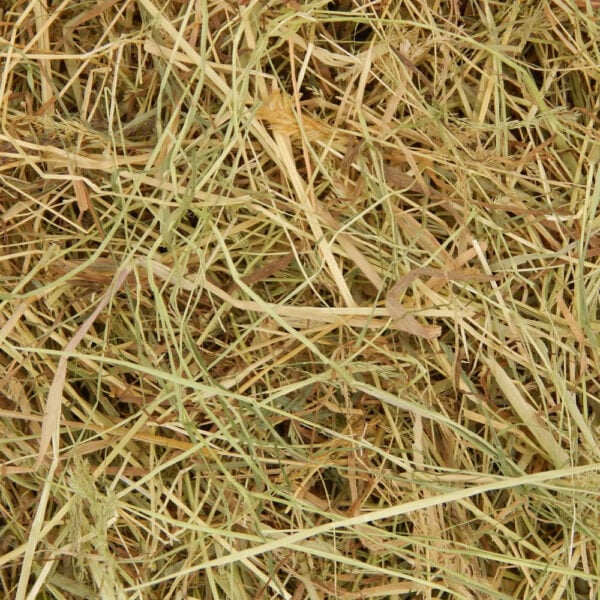 2KG Meadow Hay