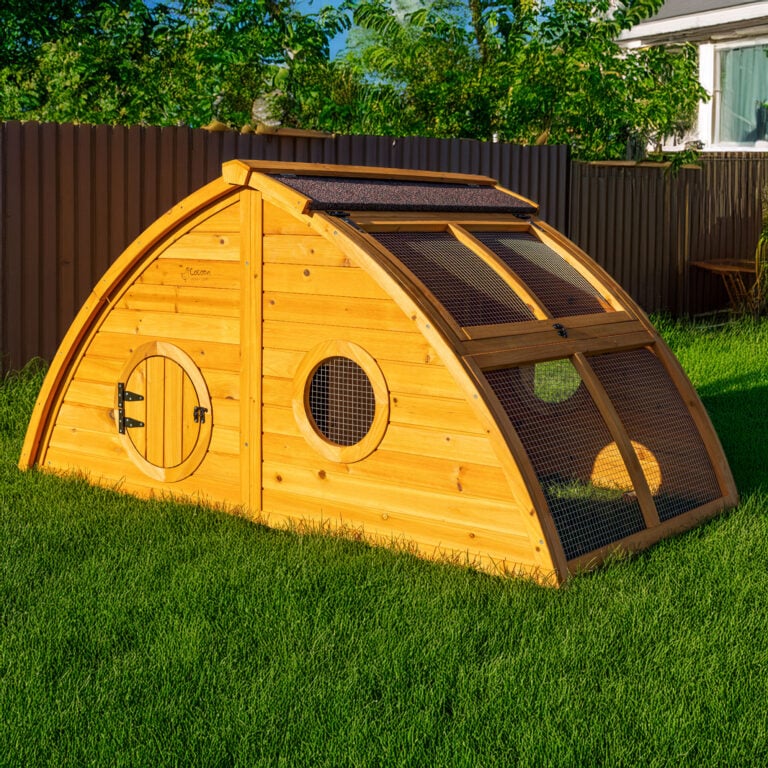 Chicken house