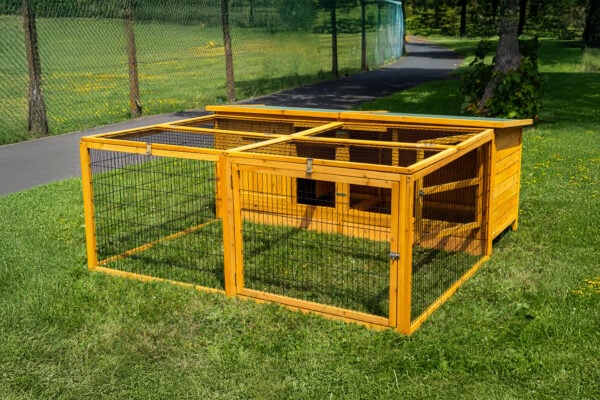 Thumper naturao plus run