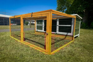 Thumper Green XL Rabbit Hutch with Run