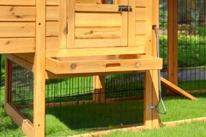 Removable Pull-Out Tray for Chicken Coops - 47x67