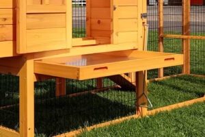 Removable Pull-Out Tray for Chicken Coops - 66x67
