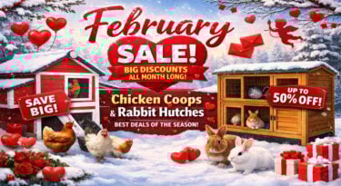 chicken coops sale