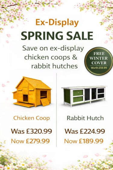 chicken coops banner