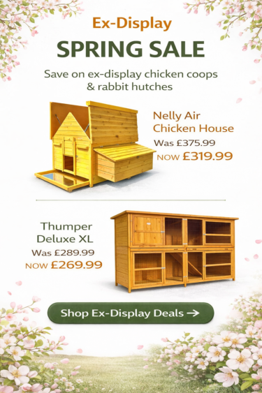 chicken coops banner