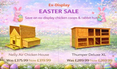 chicken coops and rabbit hutches