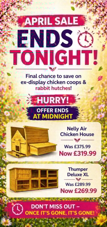 chicken-coop-sale-mobile