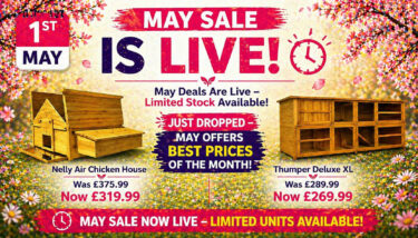 chicken coops sale