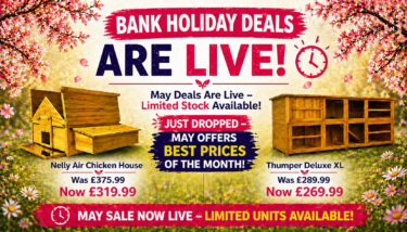 chicken coops sale