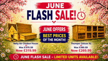 chicken coops June Sale