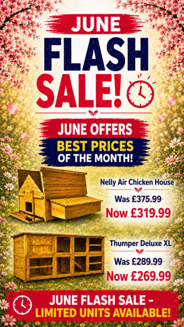 chicken coops June Sale