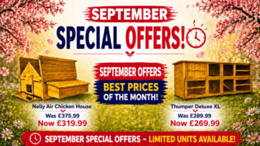 chicken-coops-september-banner