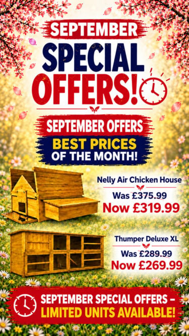 chicken-coops-september-banner